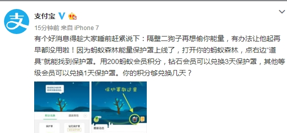 支付宝蚂蚁森林保护罩在哪里有 蚂蚁森林保护罩怎么用