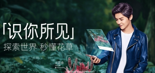 QQ浏览器怎么识别汽车 QQ浏览器如何识别植物