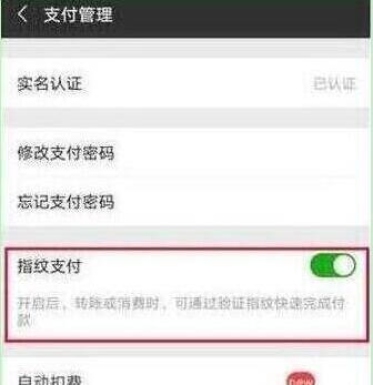 荣耀v20设置微信指纹支付教程